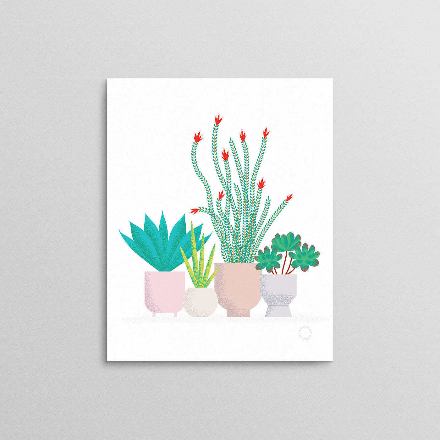 Succulents Art Print