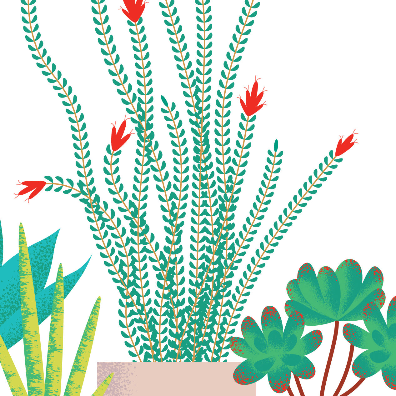 Succulents Art Print
