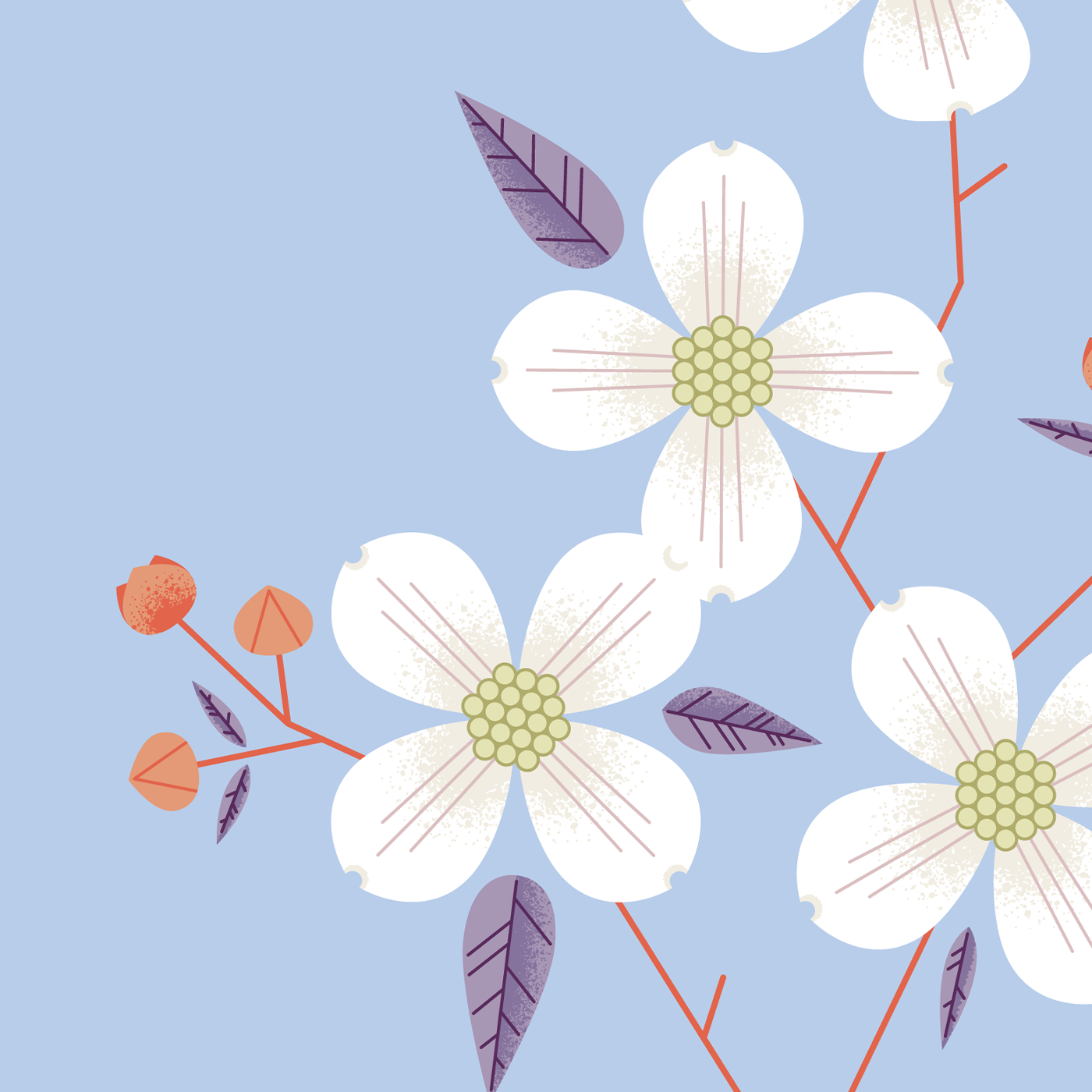 Dogwood Print - Summer Sky